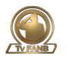 Logo Canal TV FANB